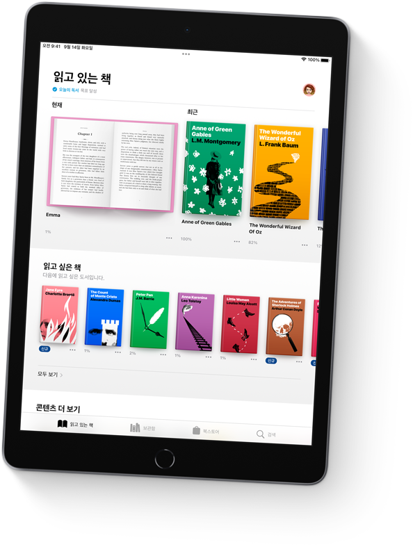 iPad에 도서앱이 열려 있는 모습