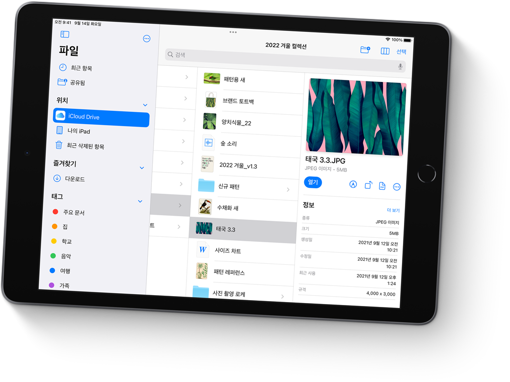 파일,iclod Drive 선택 화면